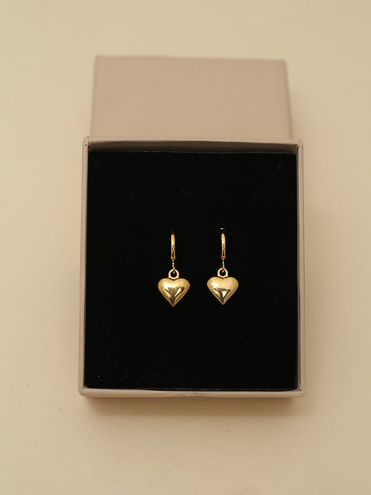 Amiri earrings
